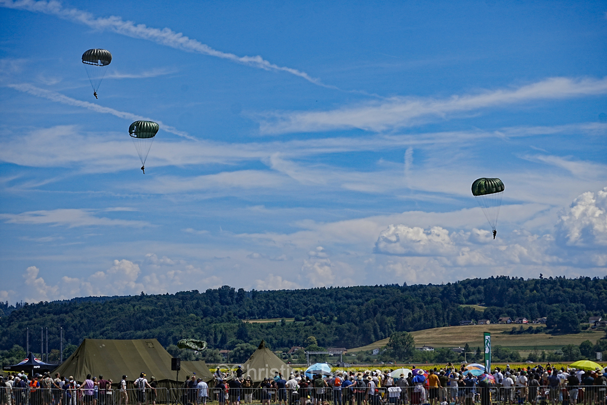 Wings & Friends : Grenchen