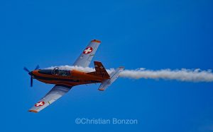 Wings & Friends : Grenchen