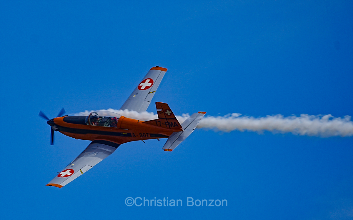 Wings & Friends : Grenchen