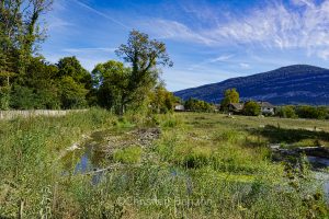 _DSC9165