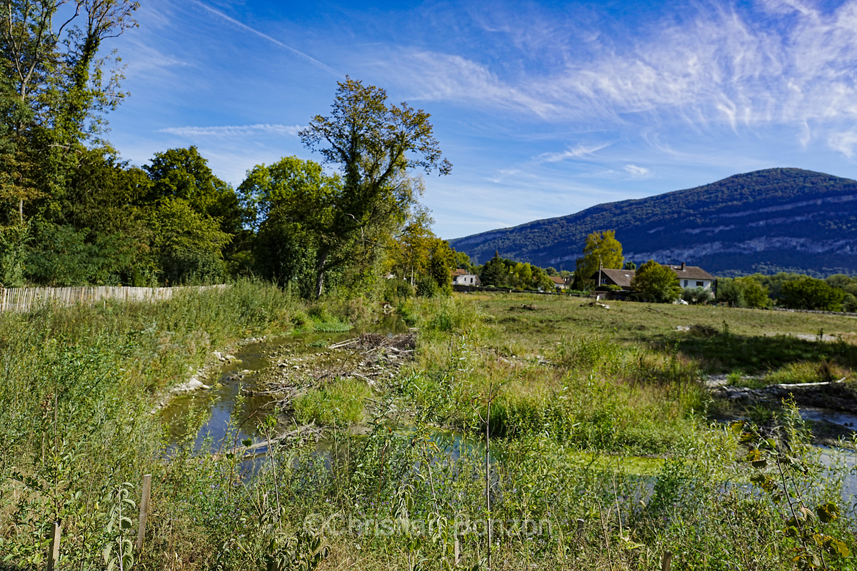 _DSC9165