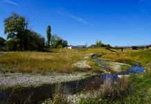 À Gaillard, le Foron reprend ses aises avant de rejoindre l’Arve