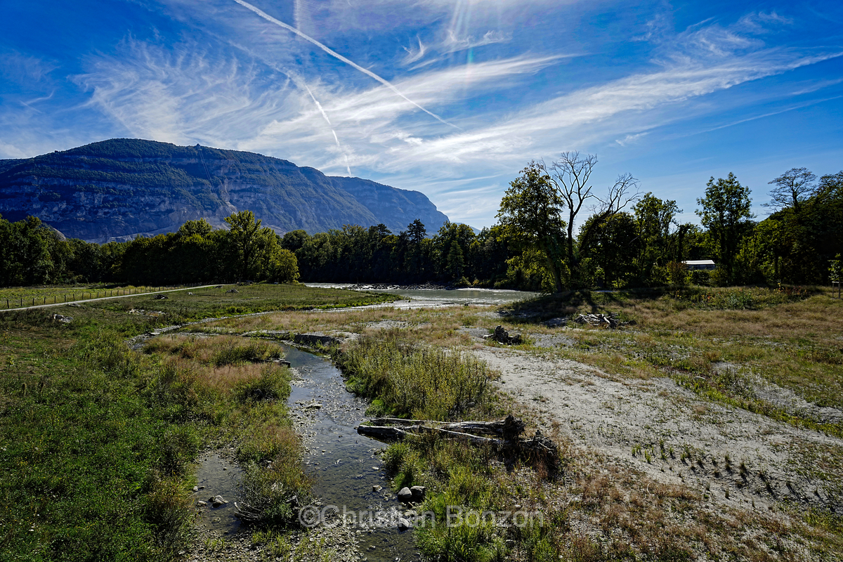 _DSC9330