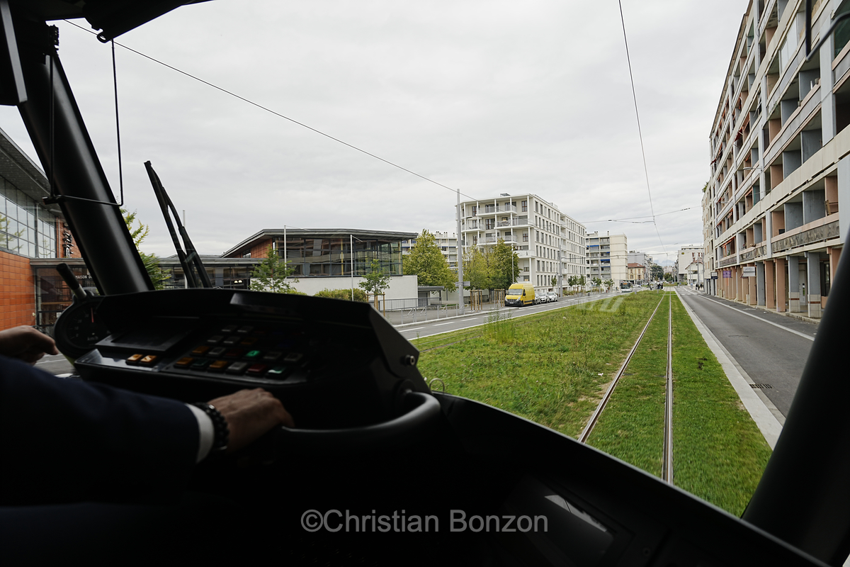 _DSC0528